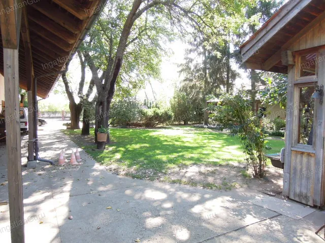 Eladó mezőgazdasági ingatlan Lajosmizse 330000 nm