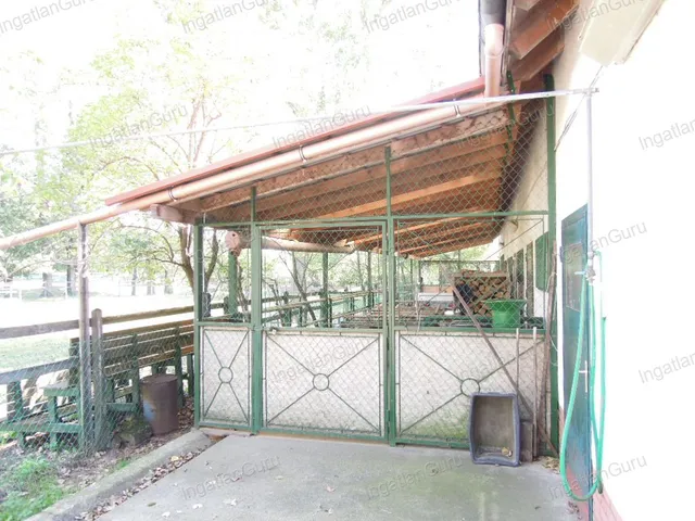 Eladó mezőgazdasági ingatlan Lajosmizse 330000 nm