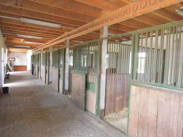 Eladó mezőgazdasági ingatlan Lajosmizse 330000 nm