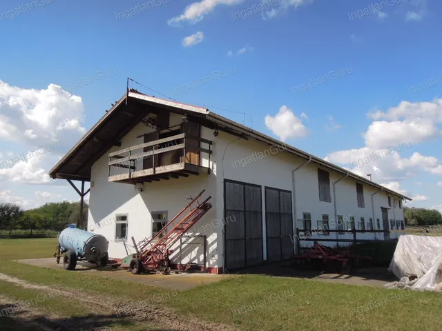 Eladó mezőgazdasági ingatlan Lajosmizse 330000 nm