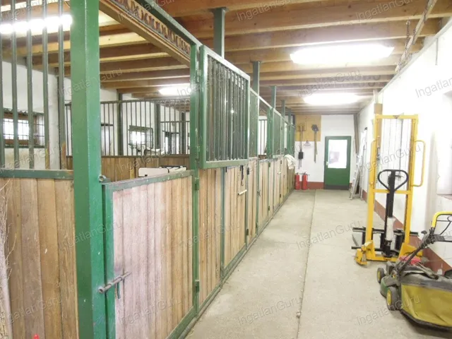 Eladó mezőgazdasági ingatlan Lajosmizse 330000 nm