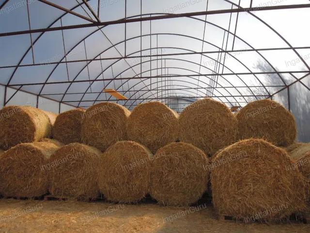 Eladó mezőgazdasági ingatlan Lajosmizse 330000 nm