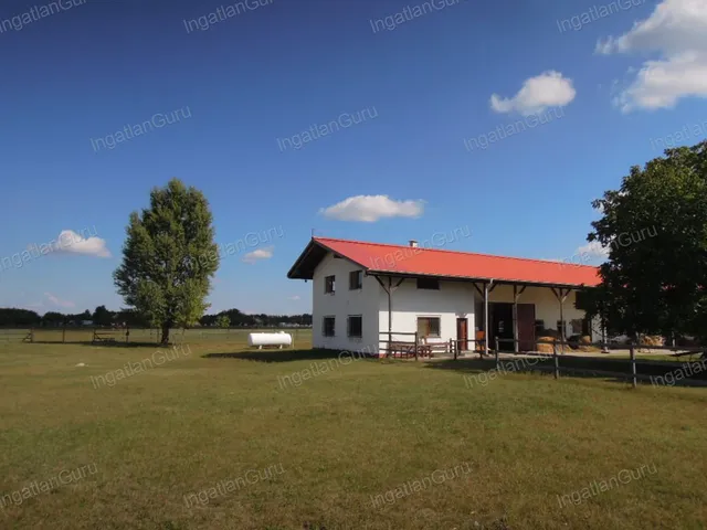 Eladó mezőgazdasági ingatlan Lajosmizse 330000 nm