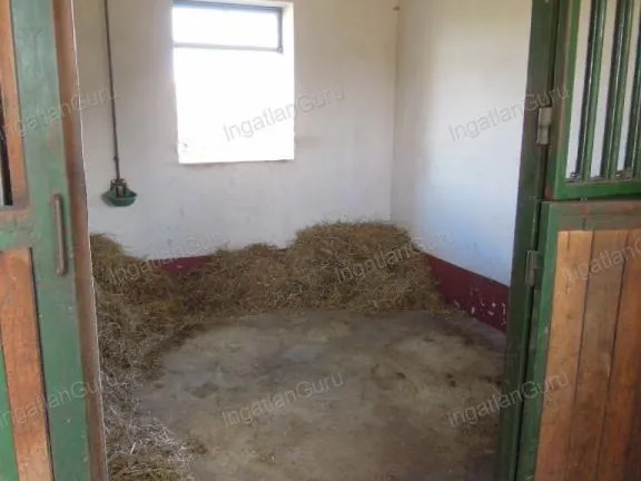 Eladó mezőgazdasági ingatlan Lajosmizse 330000 nm