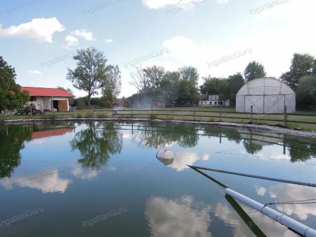 Eladó mezőgazdasági ingatlan Lajosmizse 330000 nm