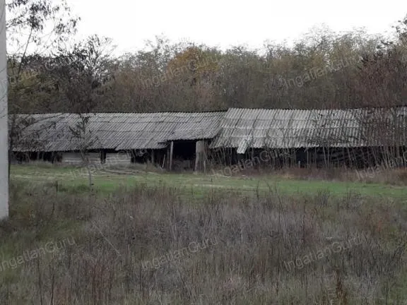 Eladó mezőgazdasági ingatlan Lajosmizse 66097 nm