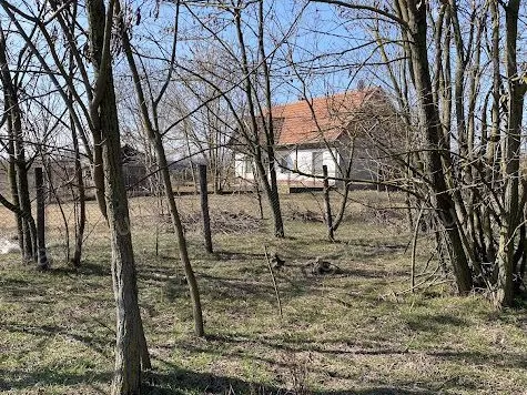 Eladó mezőgazdasági ingatlan Lajosmizse 66097 nm