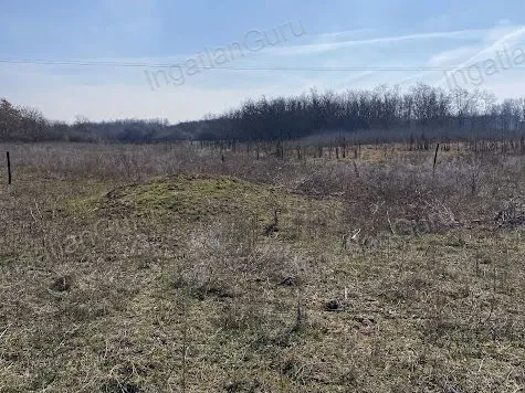 Eladó mezőgazdasági ingatlan Lajosmizse 66097 nm