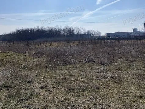 Eladó mezőgazdasági ingatlan Lajosmizse 66097 nm