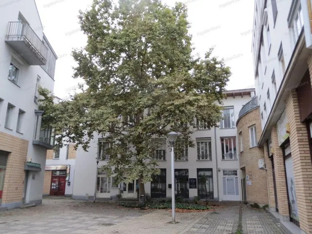 Eladó kereskedelmi és ipari ingatlan Kecskemét, Belváros 44 nm