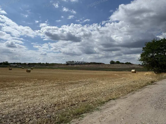 Eladó mezőgazdasági ingatlan Kunszállás 24517 nm
