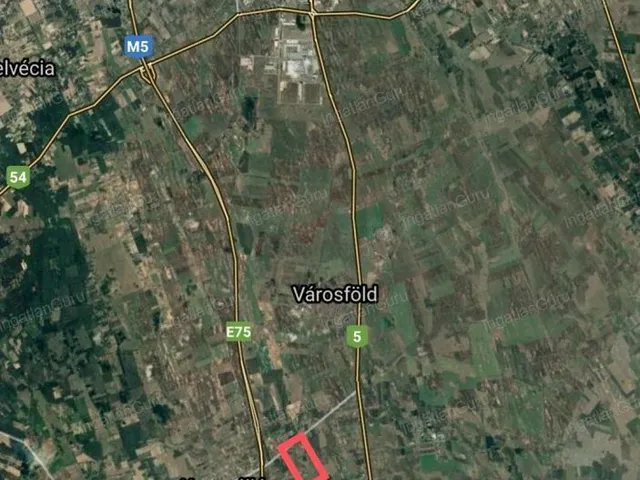 Eladó mezőgazdasági ingatlan Kunszállás 24517 nm