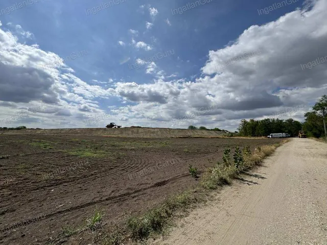 Eladó mezőgazdasági ingatlan Kunszállás 24517 nm