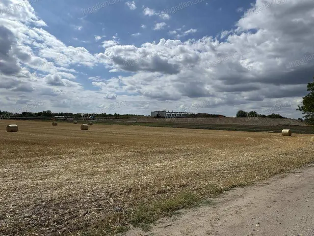 Eladó mezőgazdasági ingatlan Kunszállás 24517 nm