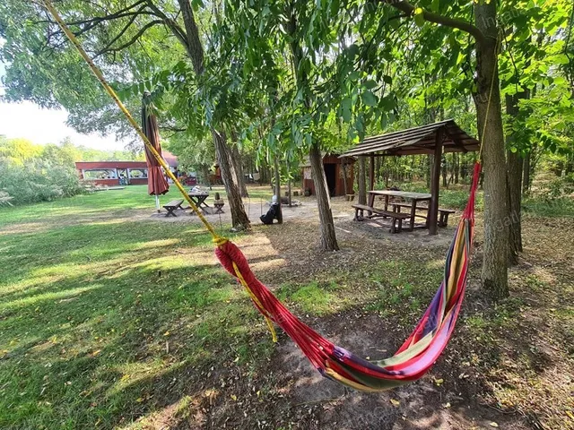 Eladó kereskedelmi és ipari ingatlan Kecskemét 320 nm