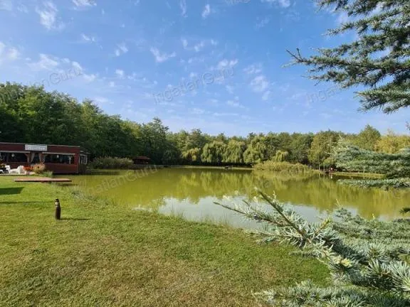 Eladó kereskedelmi és ipari ingatlan Kecskemét 320 nm