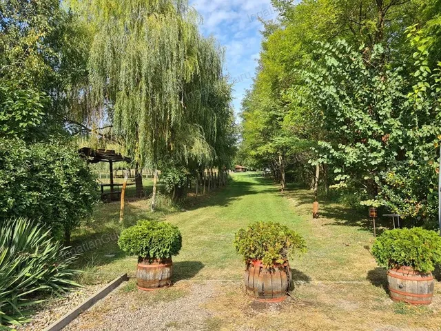 Eladó kereskedelmi és ipari ingatlan Kecskemét 320 nm