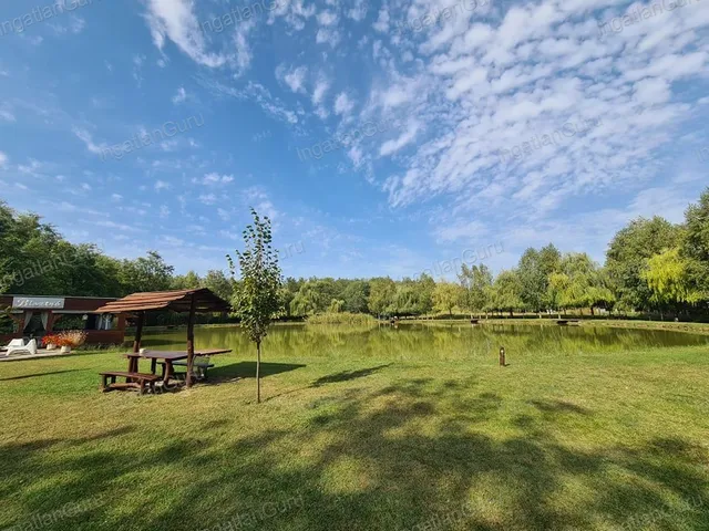 Eladó kereskedelmi és ipari ingatlan Kecskemét 320 nm