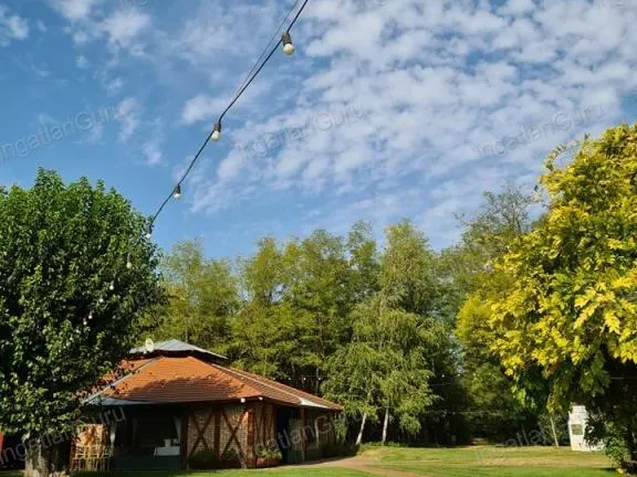 Eladó kereskedelmi és ipari ingatlan Kecskemét 320 nm