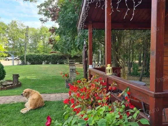 Eladó kereskedelmi és ipari ingatlan Kecskemét 320 nm