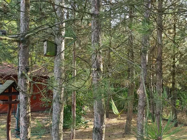 Eladó kereskedelmi és ipari ingatlan Kecskemét 320 nm