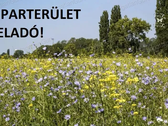 Eladó kereskedelmi és ipari ingatlan Kecskemét 2979 nm