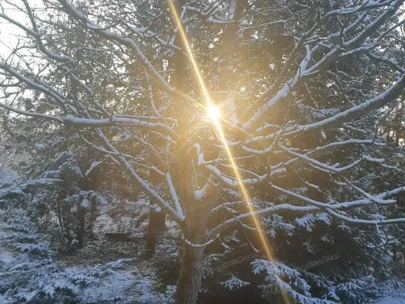 Eladó ház Helvécia 65 nm