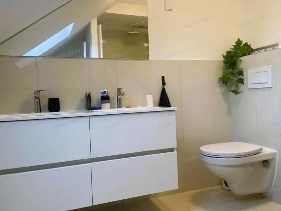 Eladó ház Tiszakécske 238 nm