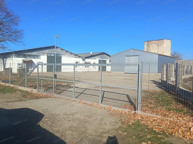 Kiadó kereskedelmi és ipari ingatlan Albertirsa 1600 nm