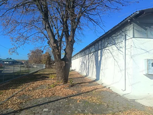 Kiadó kereskedelmi és ipari ingatlan Albertirsa 1600 nm