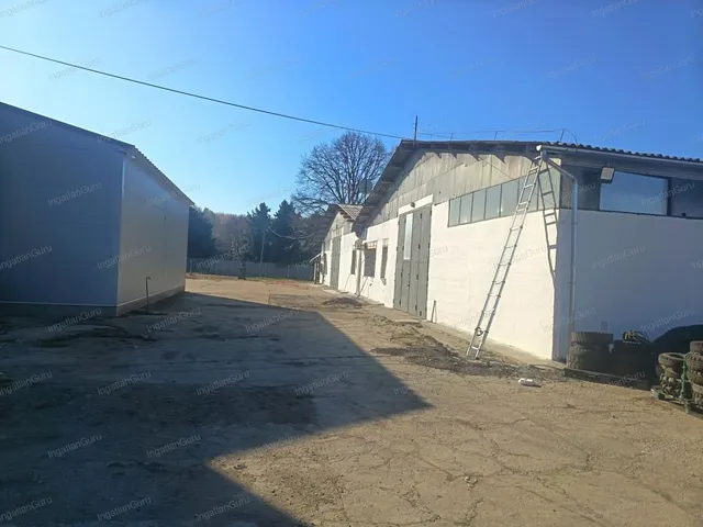 Kiadó kereskedelmi és ipari ingatlan Albertirsa 1600 nm
