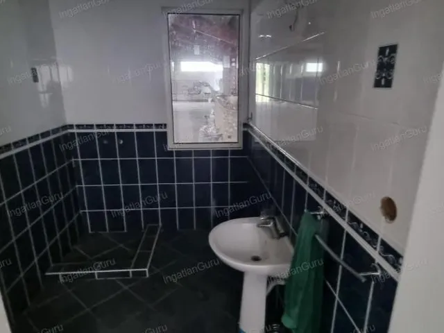 Kiadó kereskedelmi és ipari ingatlan Albertirsa 1600 nm