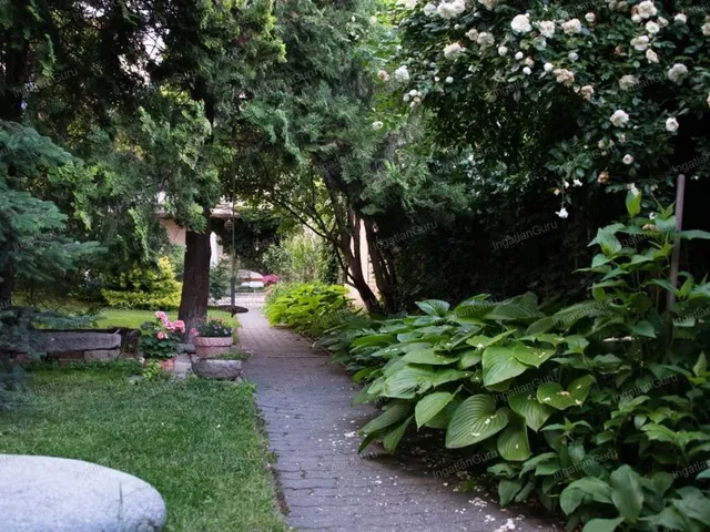 Kiadó ház Kecskemét, Belváros 270 nm