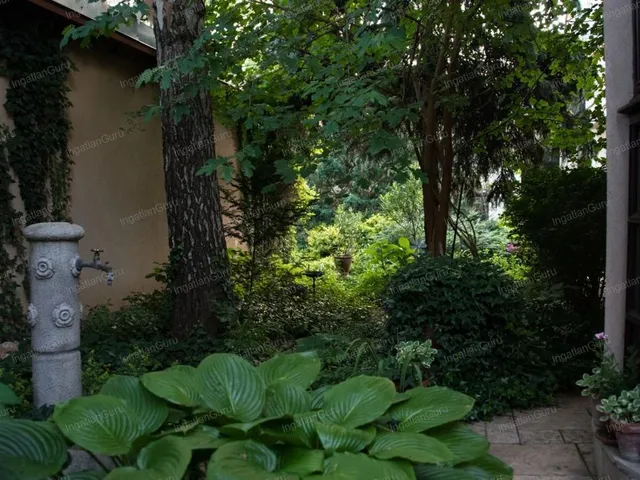 Kiadó ház Kecskemét, Belváros 270 nm