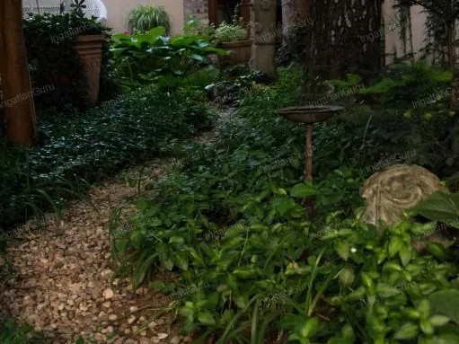 Kiadó ház Kecskemét, Belváros 270 nm