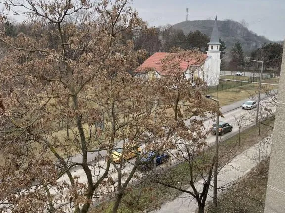 Kiadó lakás Kecskemét 34 nm