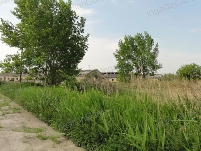 Kiadó kereskedelmi és ipari ingatlan Solt 120000 nm