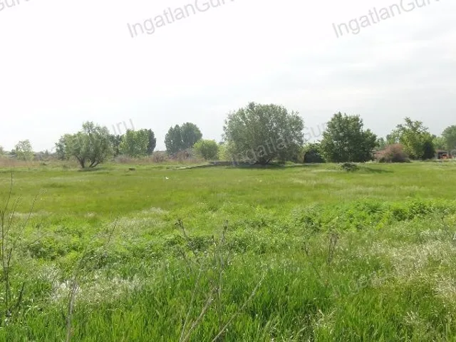 Kiadó kereskedelmi és ipari ingatlan Solt 120000 nm