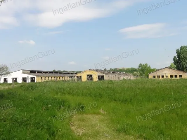 Kiadó kereskedelmi és ipari ingatlan Solt 120000 nm