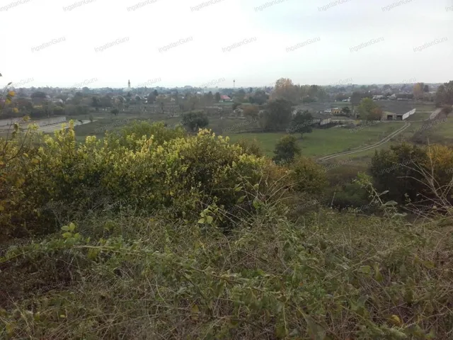 Kiadó kereskedelmi és ipari ingatlan Solt 120000 nm