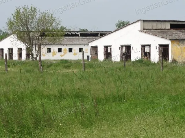 Eladó kereskedelmi és ipari ingatlan Solt 120000 nm