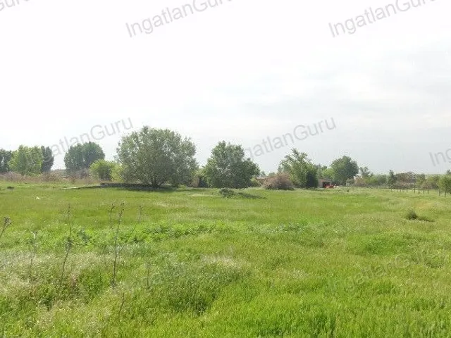 Eladó kereskedelmi és ipari ingatlan Solt 120000 nm