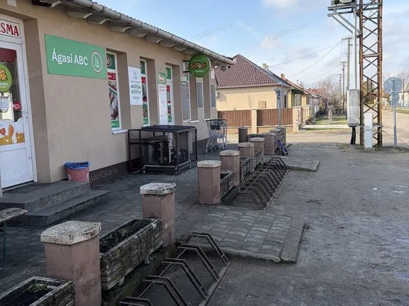 Eladó kereskedelmi és ipari ingatlan Ágasegyháza 250 nm