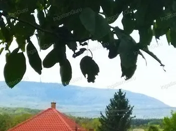 Eladó ház Mátraderecske 80 nm