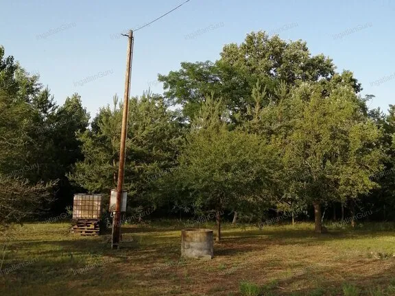 Eladó mezőgazdasági ingatlan Kecskemét, Kisfái 2158 nm