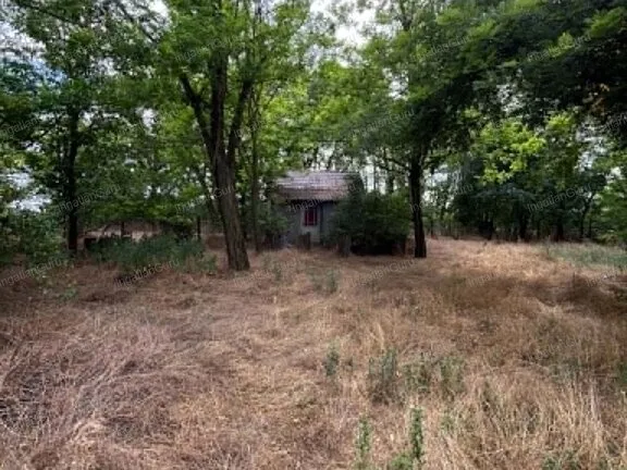 Eladó mezőgazdasági ingatlan Szentkirály 120 nm