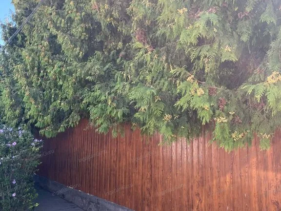 Eladó telek Kecskemét 540 nm
