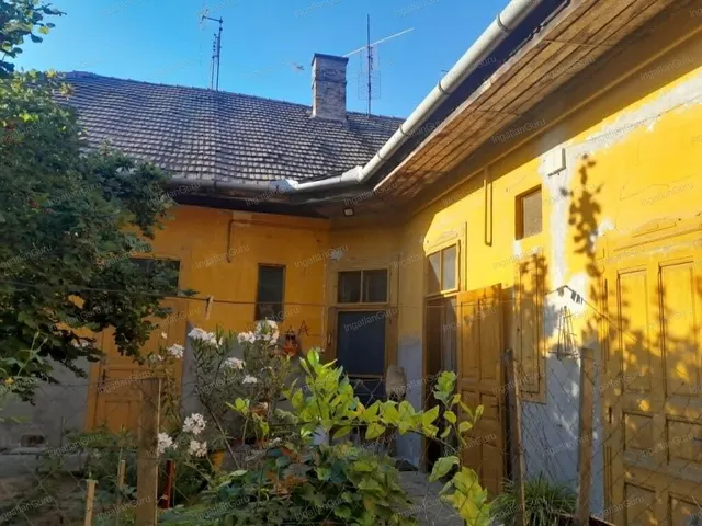 Eladó ház Kecskemét, Belváros 320 nm