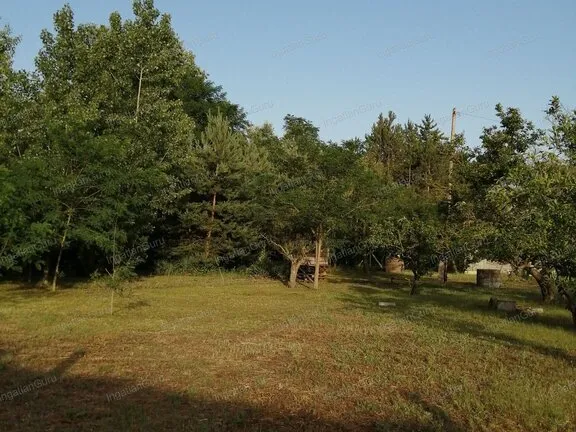 Eladó mezőgazdasági ingatlan Kecskemét, Kisfái 2158 nm
