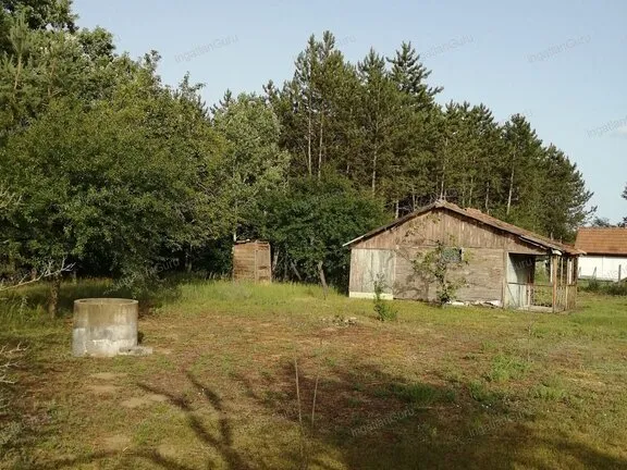 Eladó mezőgazdasági ingatlan Kecskemét, Kisfái 2158 nm
